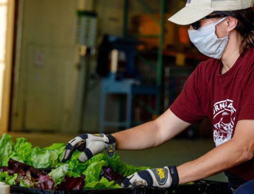 What Is a “Partner Agency”?