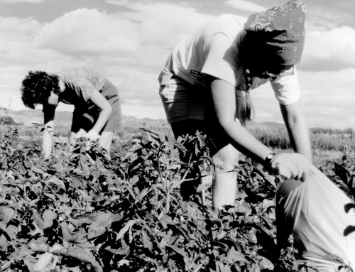 Going Back to Our Roots