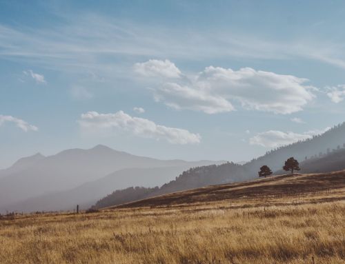 Actualización sobre incendios forestales