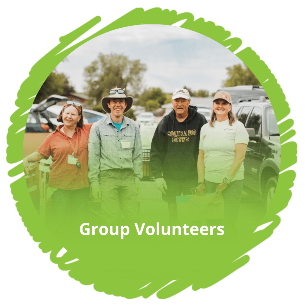 Group Volunteers